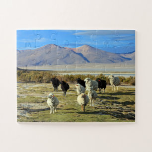 Puzzle Chilien mouton 30-pc