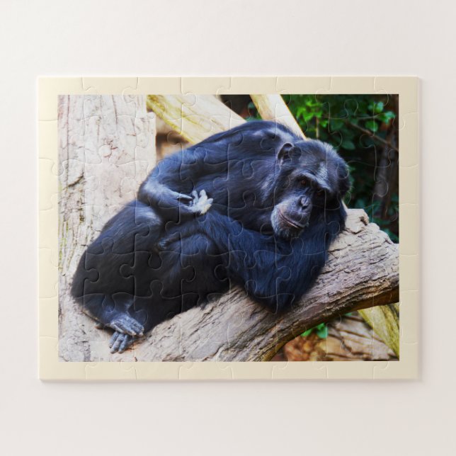 Puzzle Chimpanzé (Horizontal)