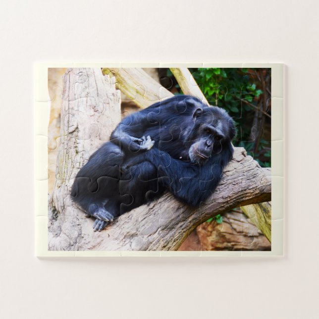 Puzzle Chimpanzé (Horizontal)