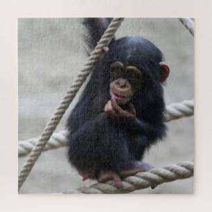 Puzzle Chimpanzé 030