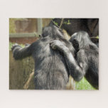 PUZZLE CHIMPANZÉS<br><div class="desc">Une paire de chimpanzés très mignons. Sont-ils les meilleurs amis ou planifient-ils des méfaits ?</div>