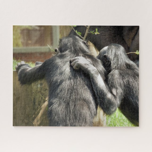PUZZLE CHIMPANZÉS (Horizontal)