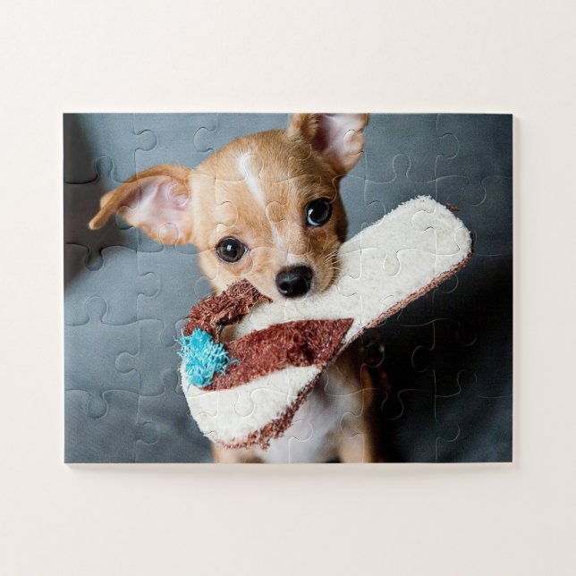 Puzzle Chiot adorable de chiwawa (Horizontal)