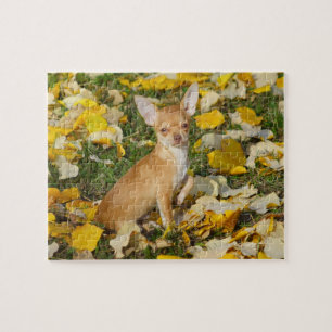 Puzzle Chiot adorable de chiwawa entre le feuille jaune