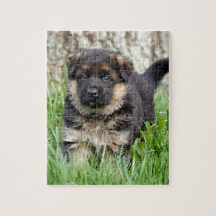 Puzzle Chiot berger allemand