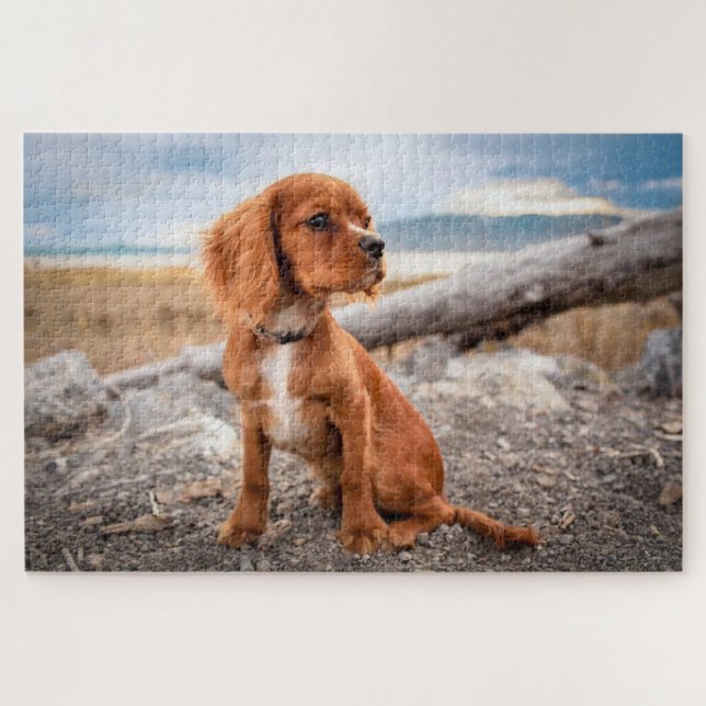 Puzzle Chiot Brown en plein air (Horizontal)