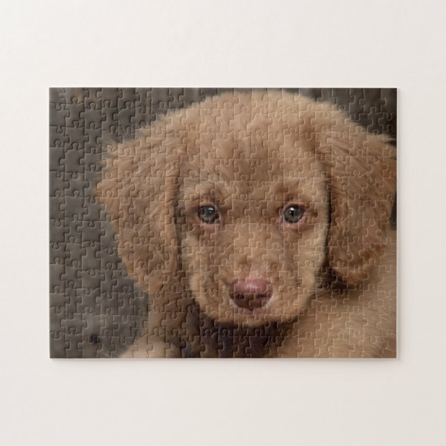 Puzzle - Chiot Brun Mignon (Horizontal)