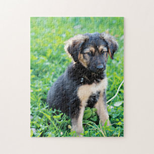 Puzzle Chiot de berger allemand