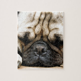 Puzzle Chiot de carlin