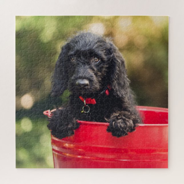 Puzzle Chiot de chien noir dans un seau rouge (Horizontal)