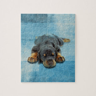 Puzzle Chiot de Dobermann - Pinscher de dobermann