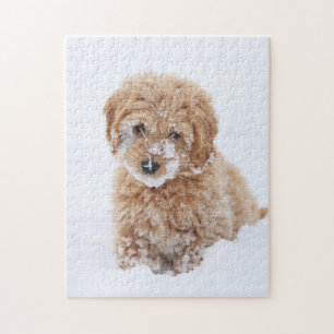 Puzzle Chiot De Goldendoodle Avec La Neige À La Face