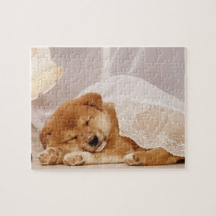 Puzzle Chiot de Shiba Inu dormant sous un rideau net