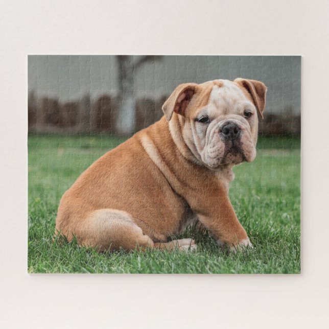 Puzzle Chiot de taureau anglais charmant (Horizontal)