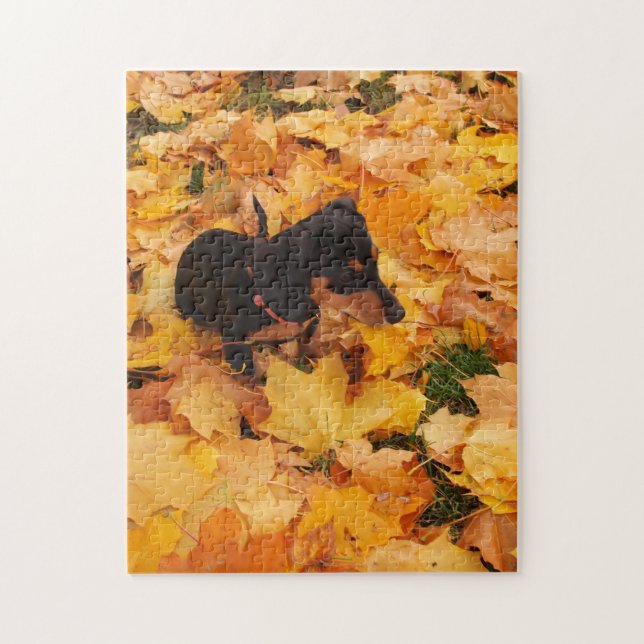 Puzzle Chiot de teckel (Vertical)