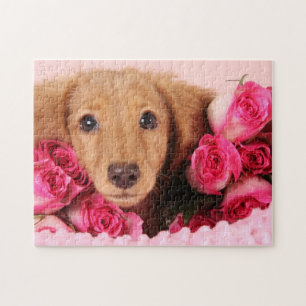 Puzzle Chiot de teckel entouré par des roses