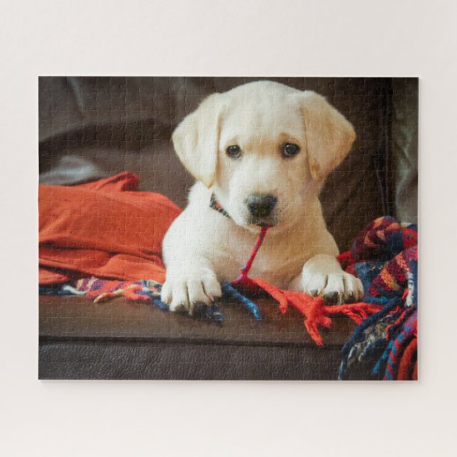 Puzzle Chiot des images | de Getty sur un sofa (Horizontal)