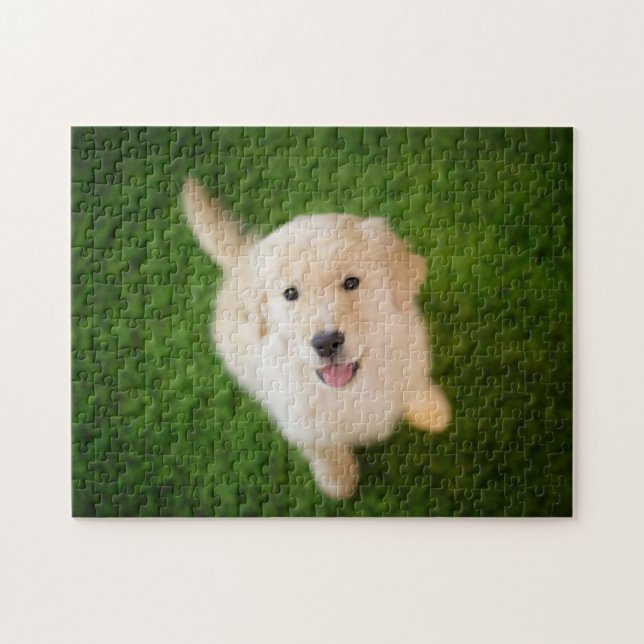Puzzle Chiot d'or rétriever sur l'herbe (Horizontal)