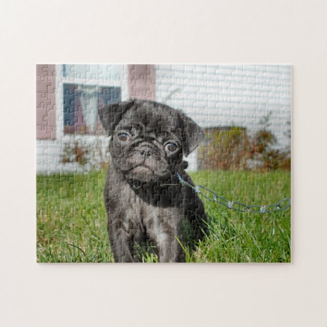 Puzzle Chiot en Carlin noir (Horizontal)