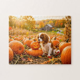 Puzzle Chiot épagneul dans un champ de citrouilles automn