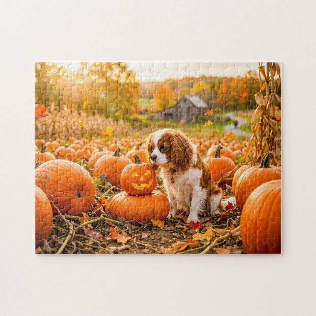 Puzzle Chiot épagneul dans un champ de citrouilles automn (Horizontal)