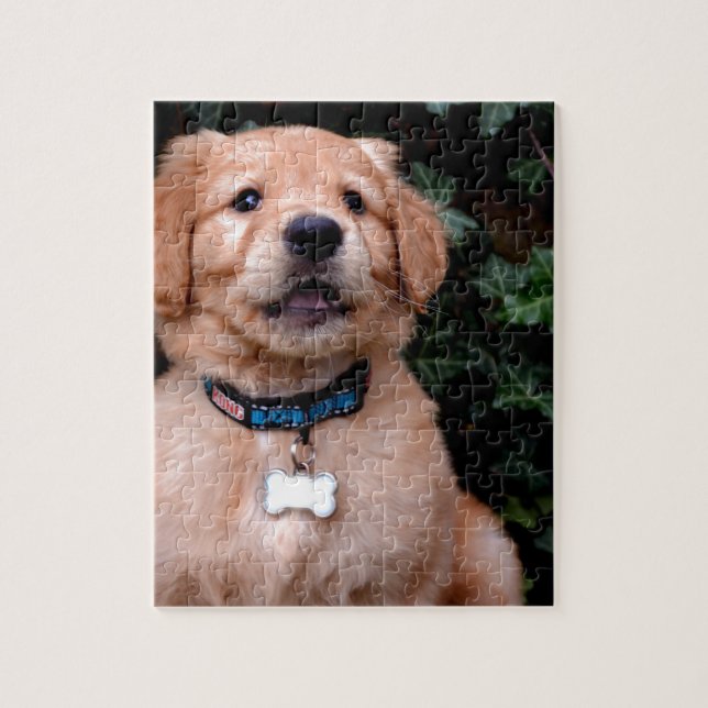 Puzzle Chiot Golden Retriever (Vertical)
