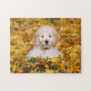 Puzzle Chiot Goldendoodle En Feuilles Automnes
