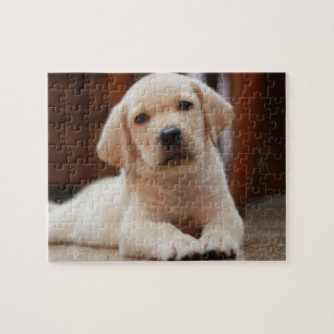 Puzzle Chiot jaune de Labrador de bébé s'étendant sur 