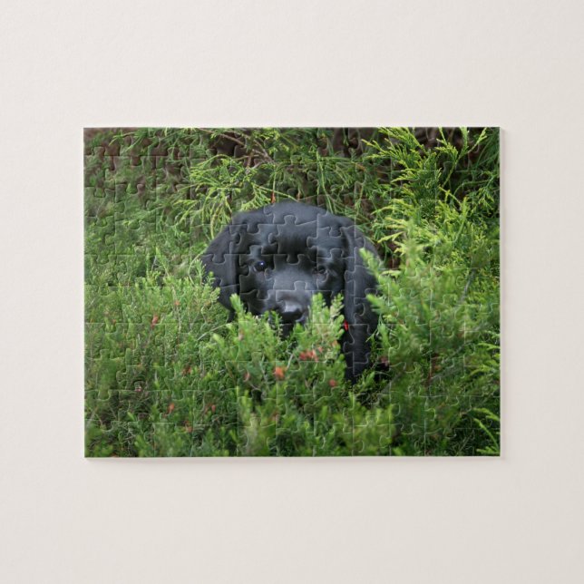 Puzzle Chiot noir de laboratoire (Horizontal)