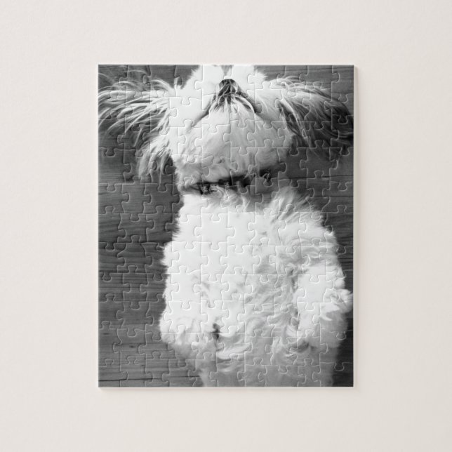 Puzzle Chiot noir et blanc de Shih-Tzu (Vertical)