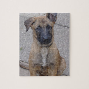 Puzzle chiot sitting.png de malinois