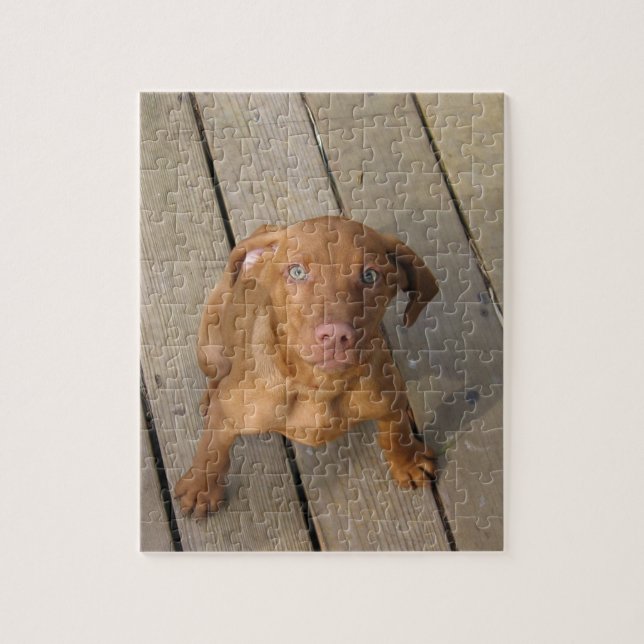 Puzzle chiot vizsla (Vertical)