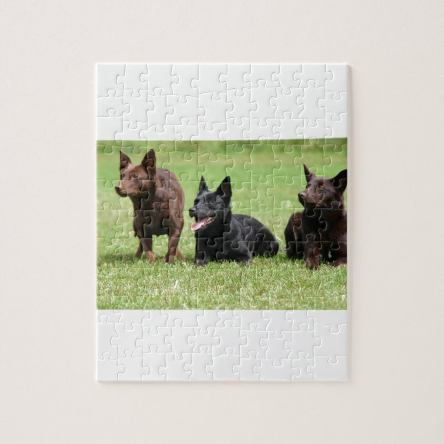 Puzzle Chiots australiens de Kelpie (Vertical)
