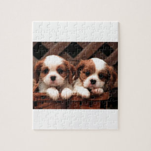 Puzzle Chiots cavaliers
