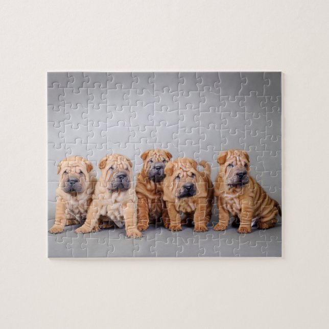 Puzzle Chiots chinois Shar Pei (Horizontal)