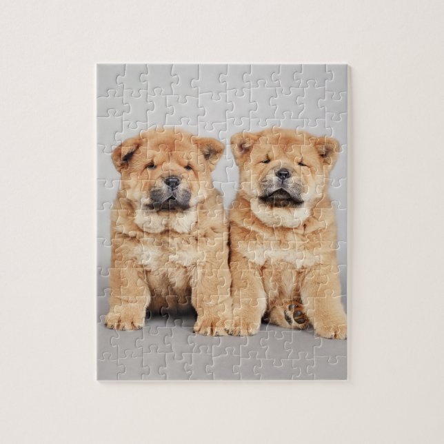 Puzzle Chiots de chow (Vertical)