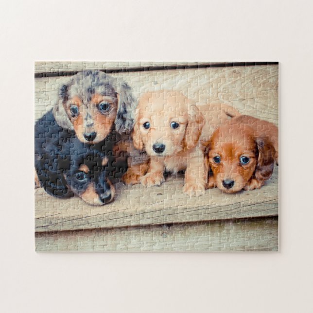 Puzzle Chiots de Dachshund (Horizontal)