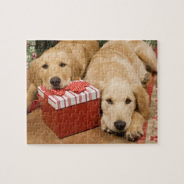 Puzzle Chiots de repérage d'or avec cadeau de noël (Horizontal)