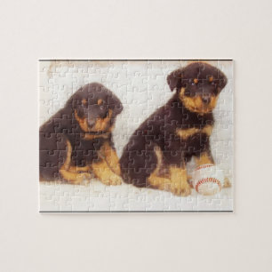 Puzzle Chiots de Rottweiler