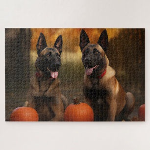 Puzzle Chiots Malinois Belge Délice d'Automne Citrouille 