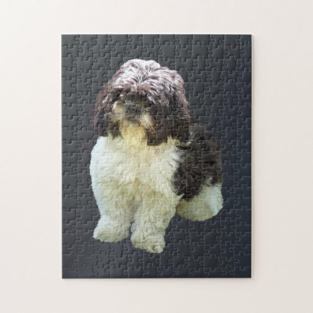 Puzzle Chiots Shih Tzu Adorables (Vertical)