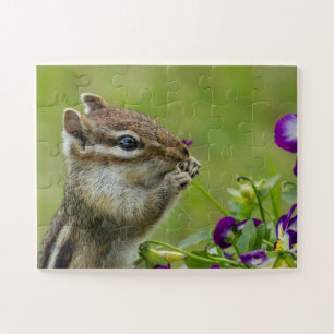 Puzzle Chipmunk