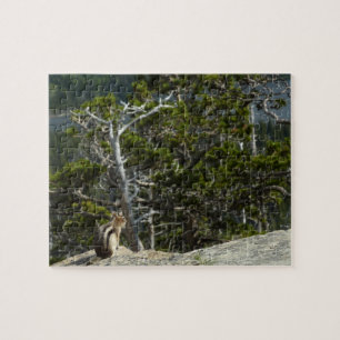 Puzzle Chipmunk à Two Medicine Lake Overlook