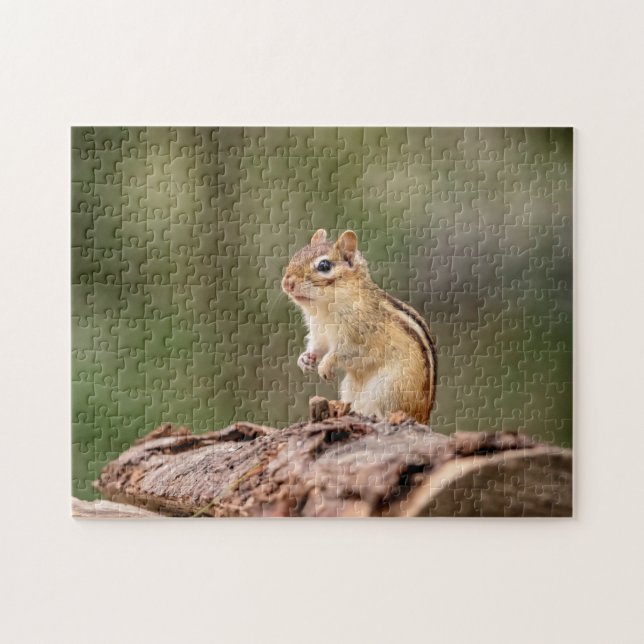 Puzzle Chipmunk dans les Adirondacks (Horizontal)