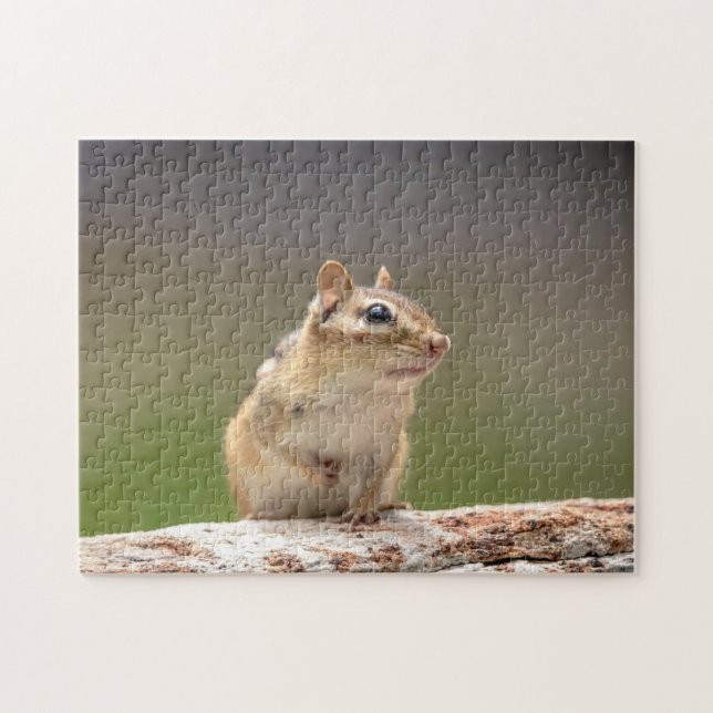 Puzzle Chipmunk dans les Adirondacks (Horizontal)