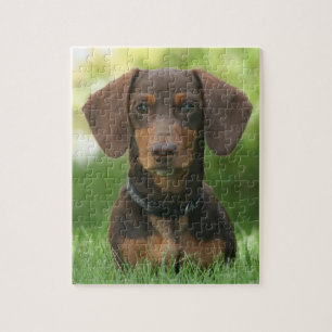 Puzzle Chocolat et bronzage Dachshund