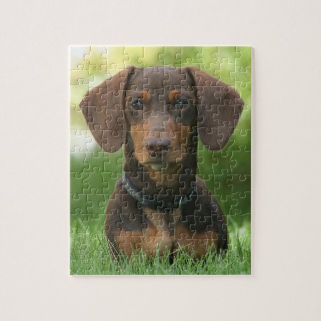 Puzzle Chocolat et bronzage Dachshund (Vertical)