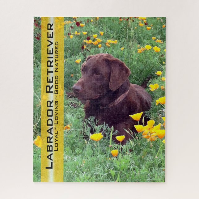 Puzzle Chocolate Lab in California Poppy Patch (Vertical)
