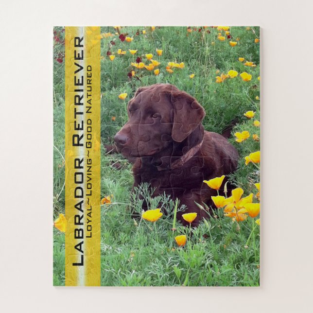 Puzzle Chocolate Lab in California Poppy Patch Custom (Vertical)
