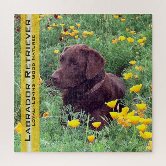 Puzzle Chocolate Lab Portrait California Poppies Template (Vertical)